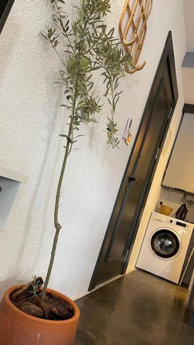 K Studio Appartement Bodrum Buitenkant foto